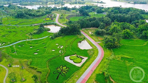 重庆梁平 小微湿地 成为全国湿地生态保护样板